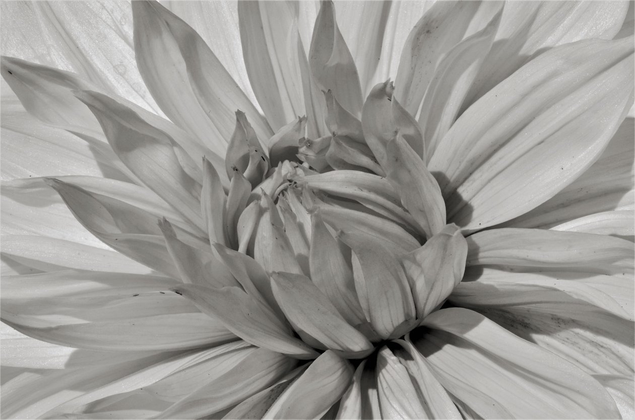 Uden titel, 2019, (fotografi) af Alex Caminker