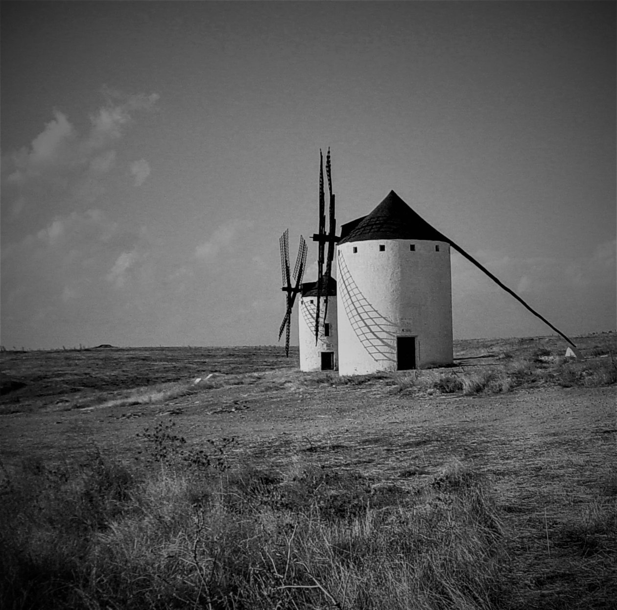 Uden titel, 2019, (fotografi) af Alex Caminker