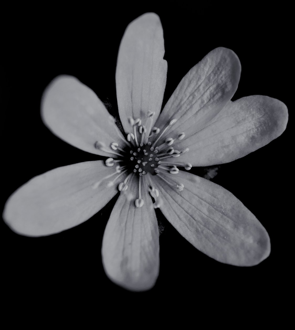 Uden titel, 2019, (fotografi) af Alex Caminker