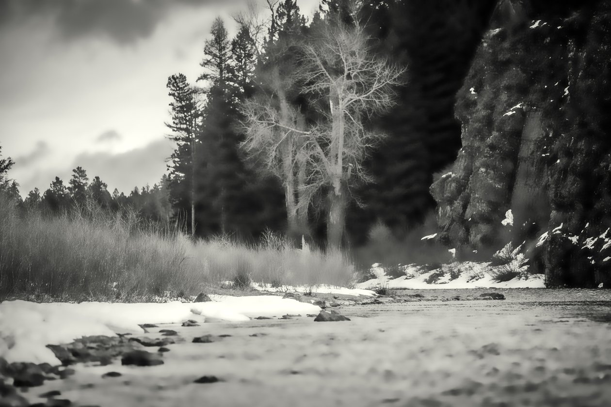 accenter, 2019, (fotografi) af Alex Caminker