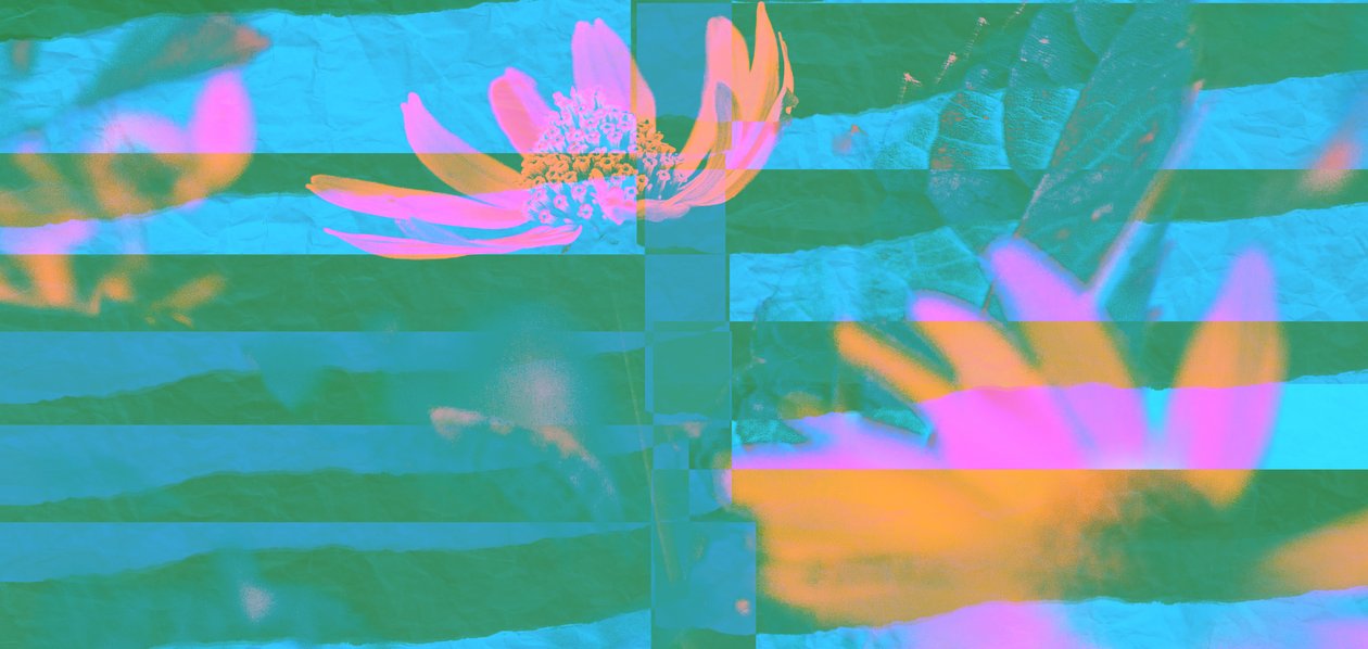 altid og overalt, 2019, (collage) af Alex Caminker