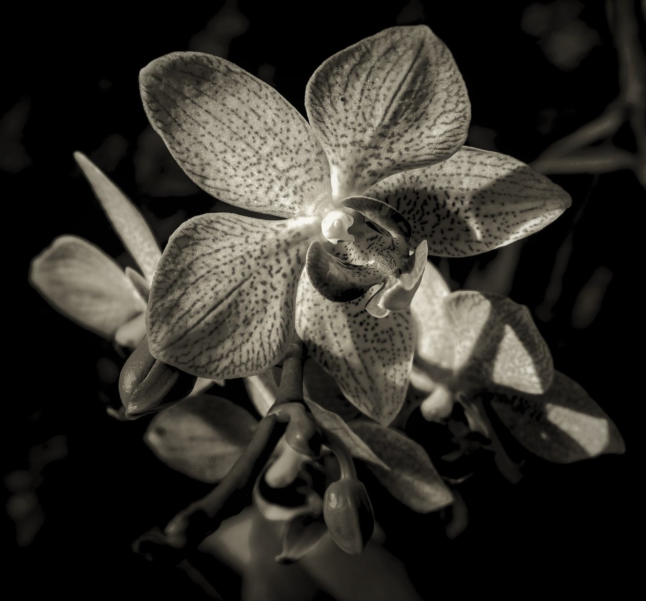 en anden verden, 2019, (fotografi) af Alex Caminker