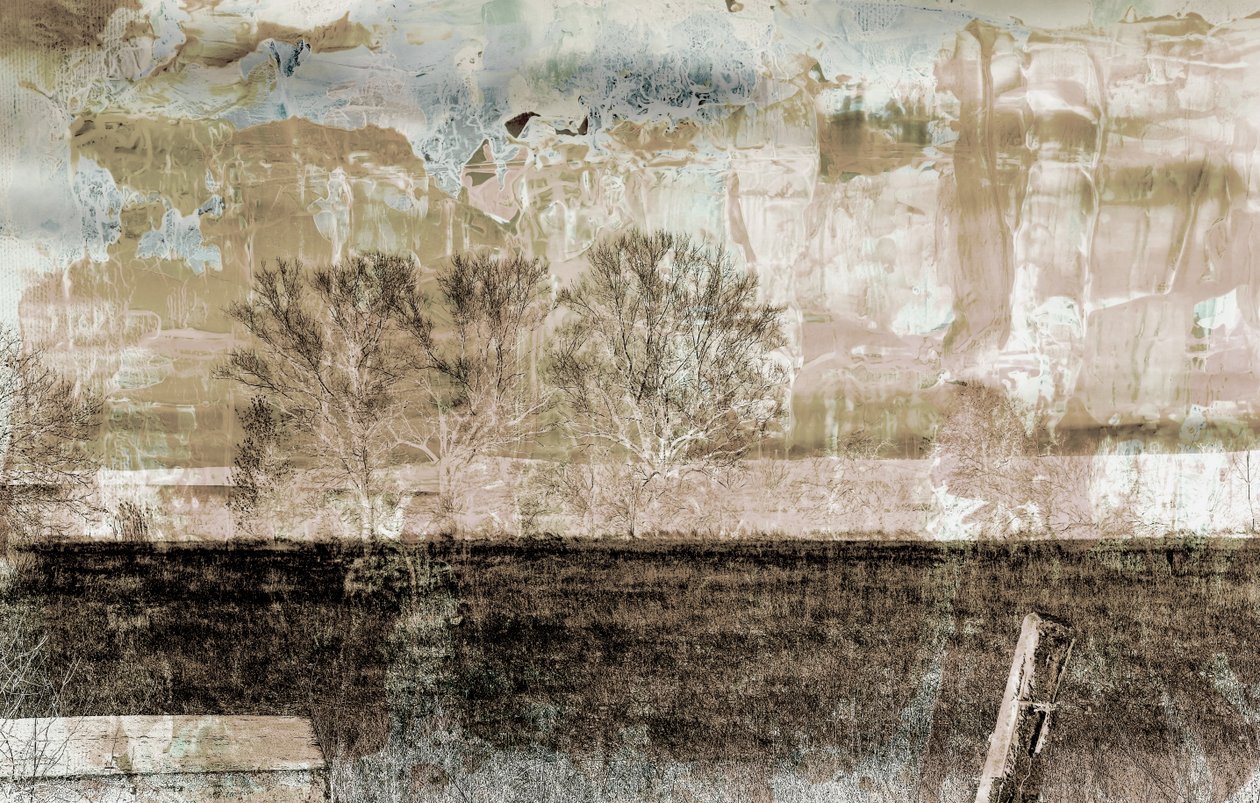 brun tåge, 2019, (blandet medier) af Alex Caminker