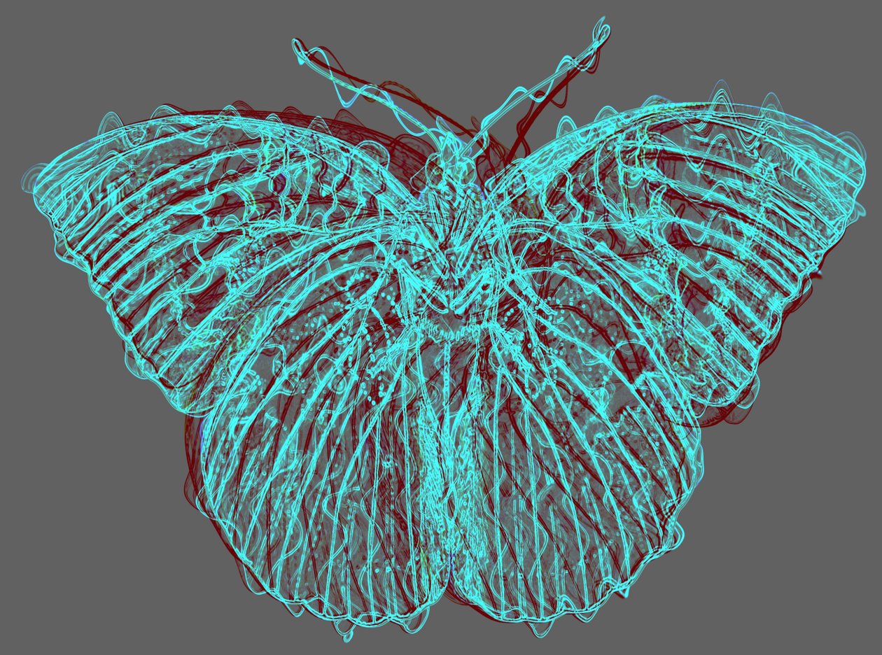 Butterfly 8.2020, (blandede medier) af Alex Caminker