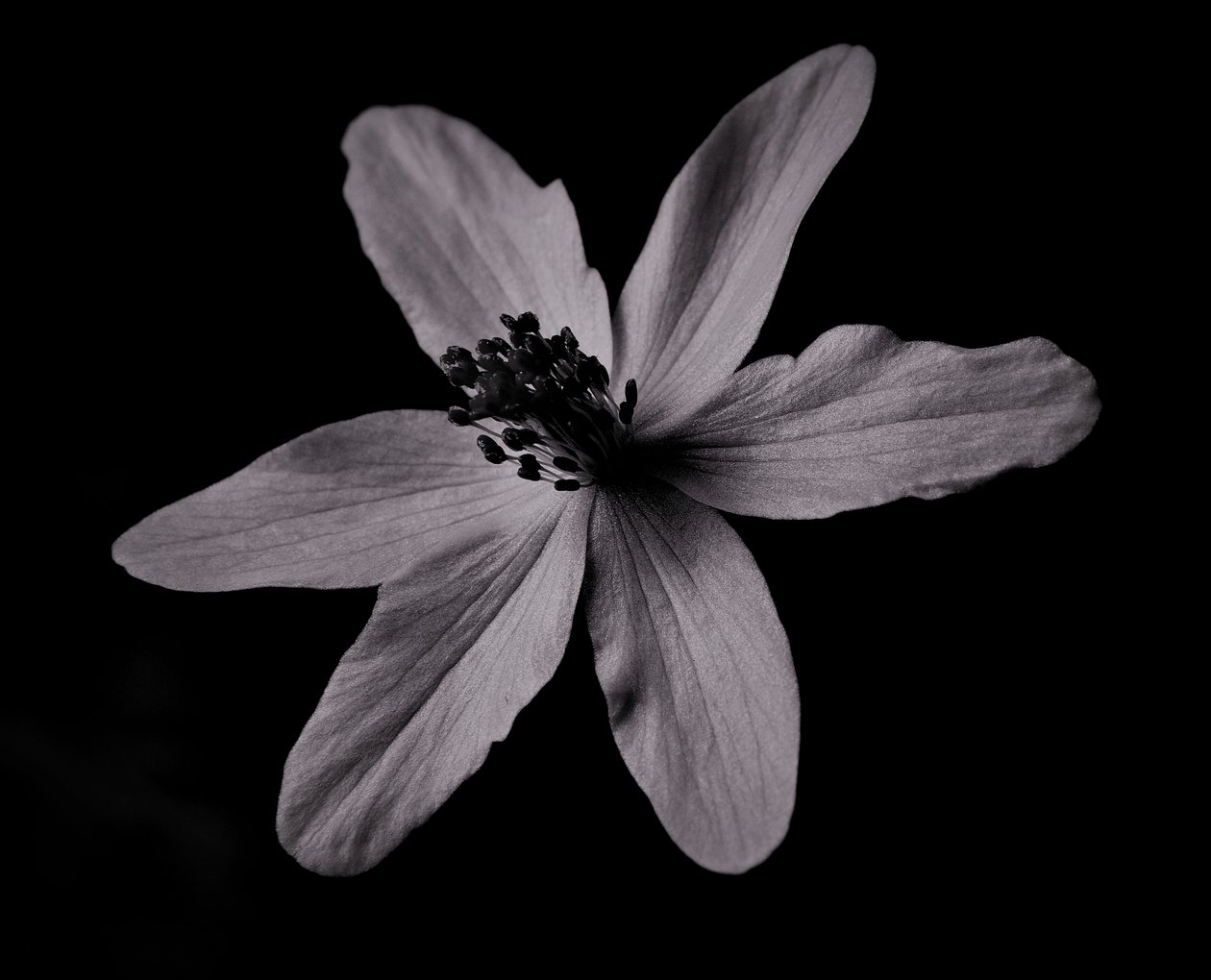 byggeri, 2019, (fotografi) af Alex Caminker