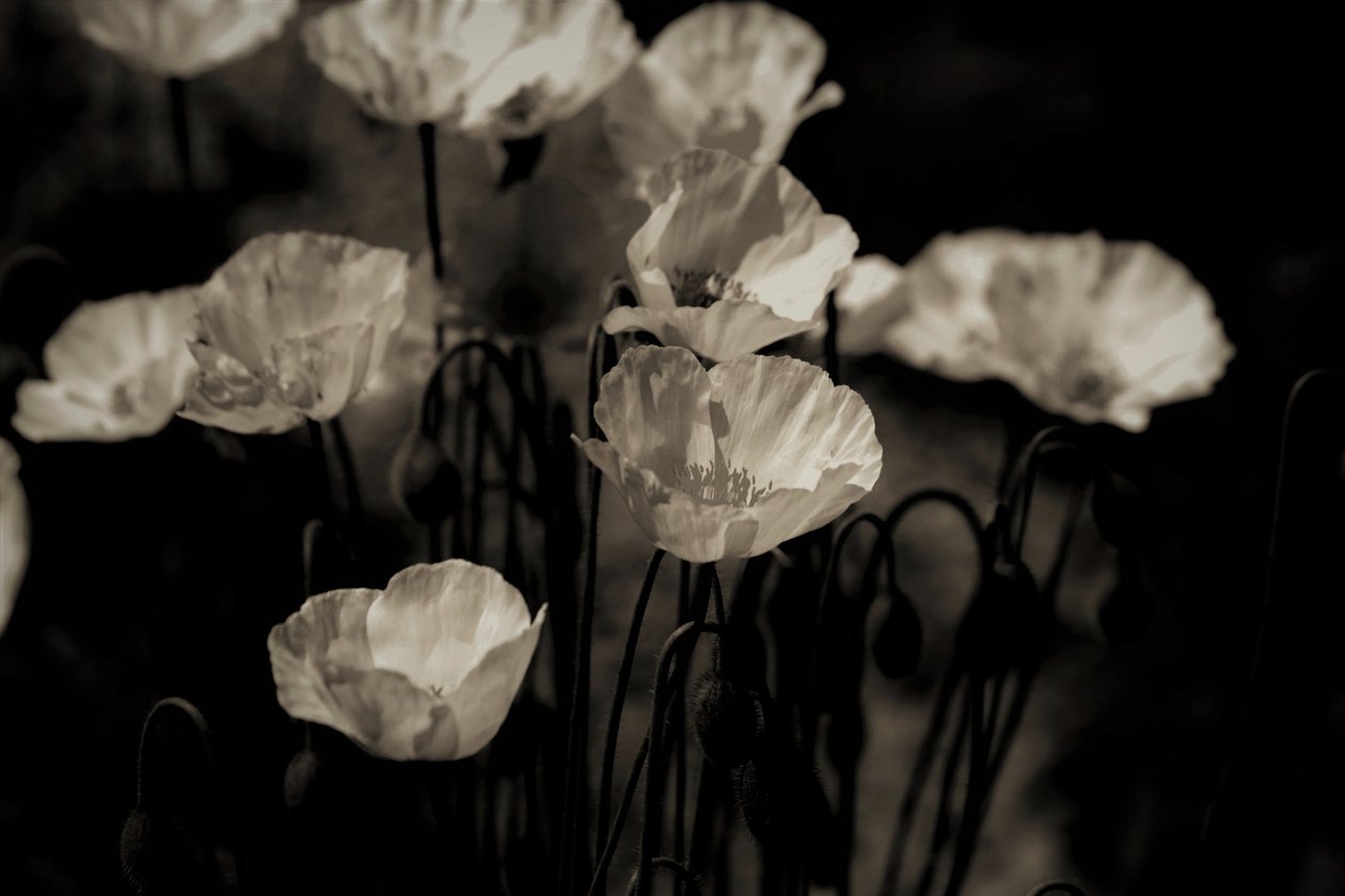 arkiveret enheder, 2019, (fotografi) af Alex Caminker