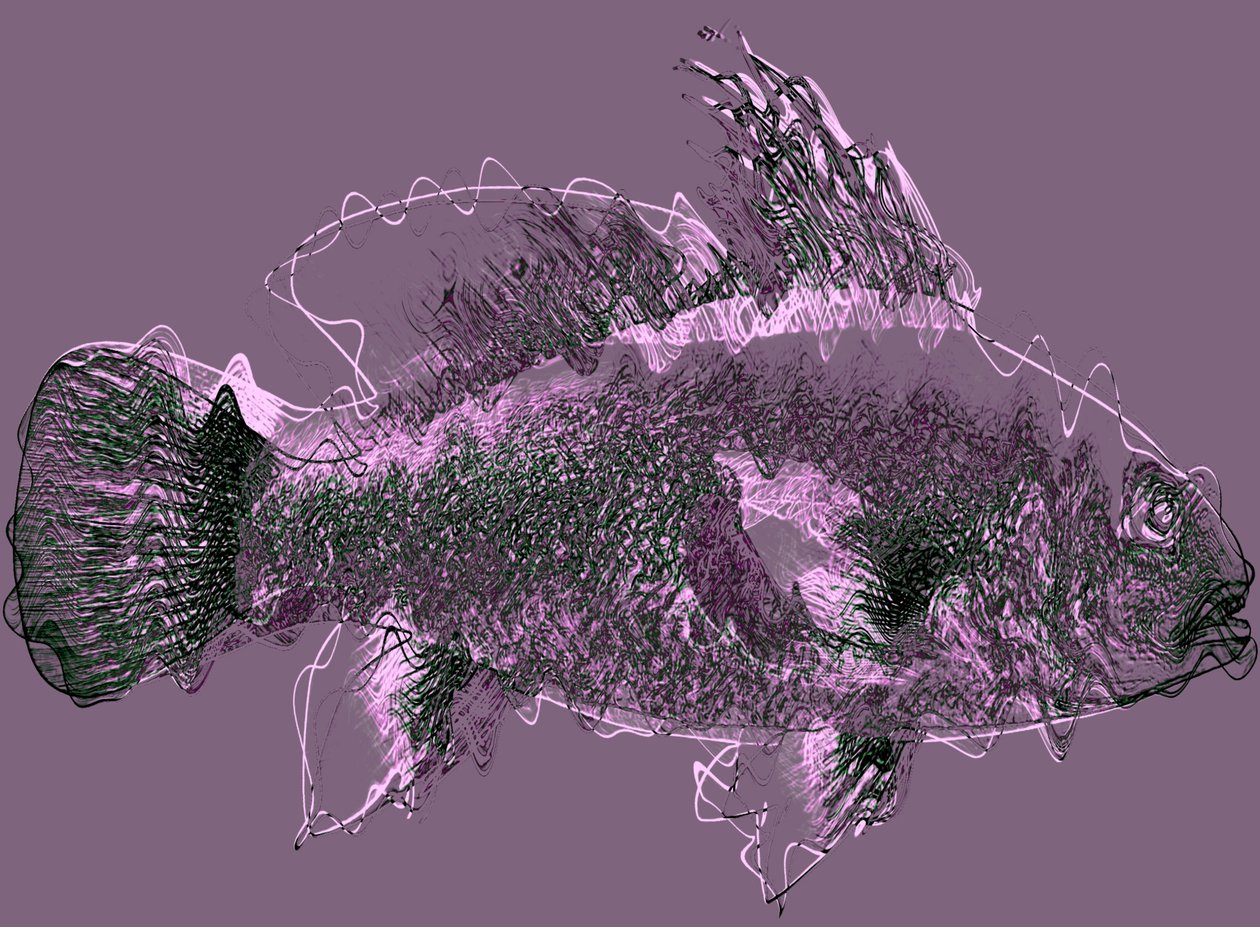 fisk III,2020,(blandet medier) af Alex Caminker