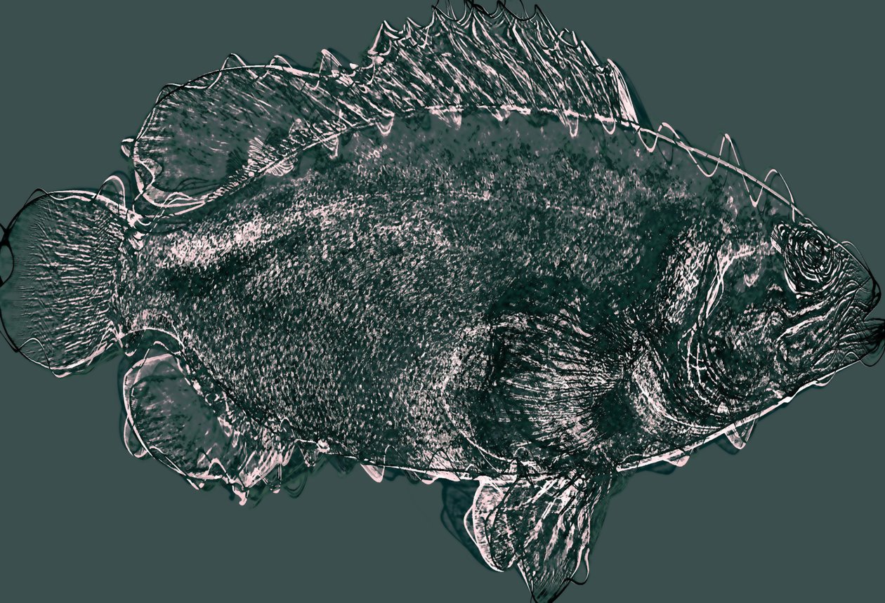 fisk i grønt,2020,(mixed media) af Alex Caminker