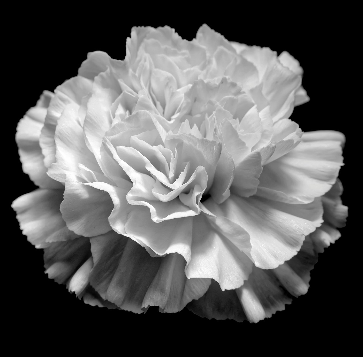 naturlig geometri II, 2019, (fotografi) af Alex Caminker