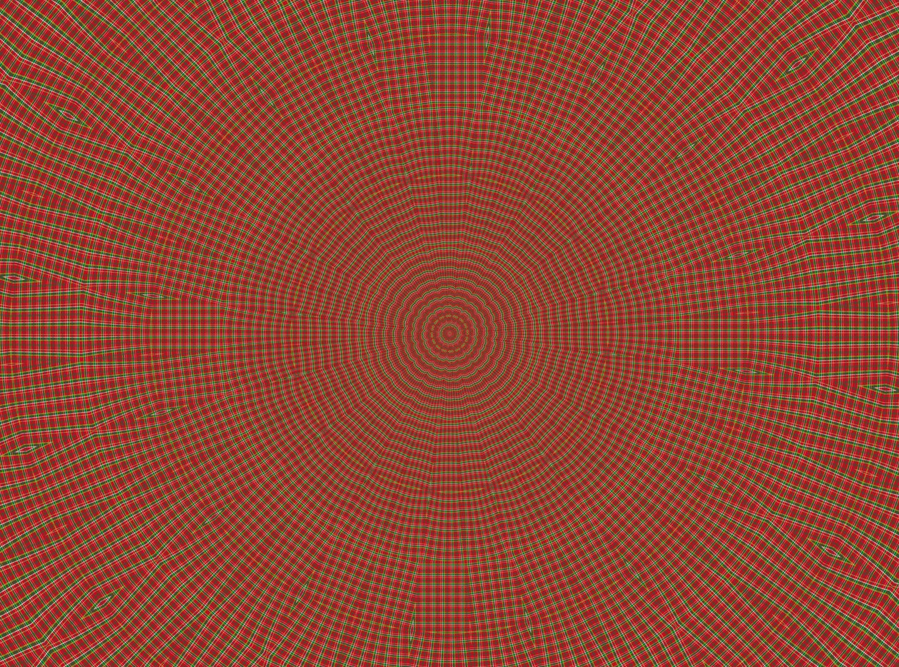 ornament #2,2019,(blandet medier) af Alex Caminker