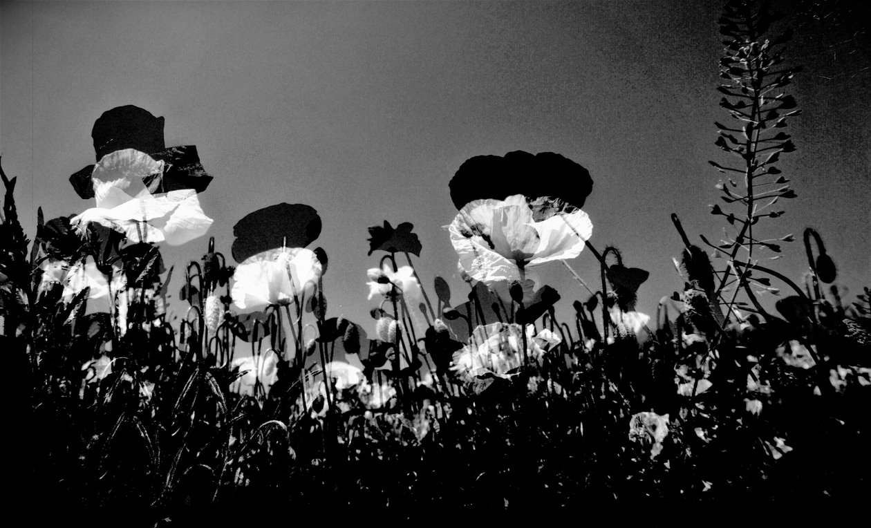 teater, 2019, (fotografi) af Alex Caminker
