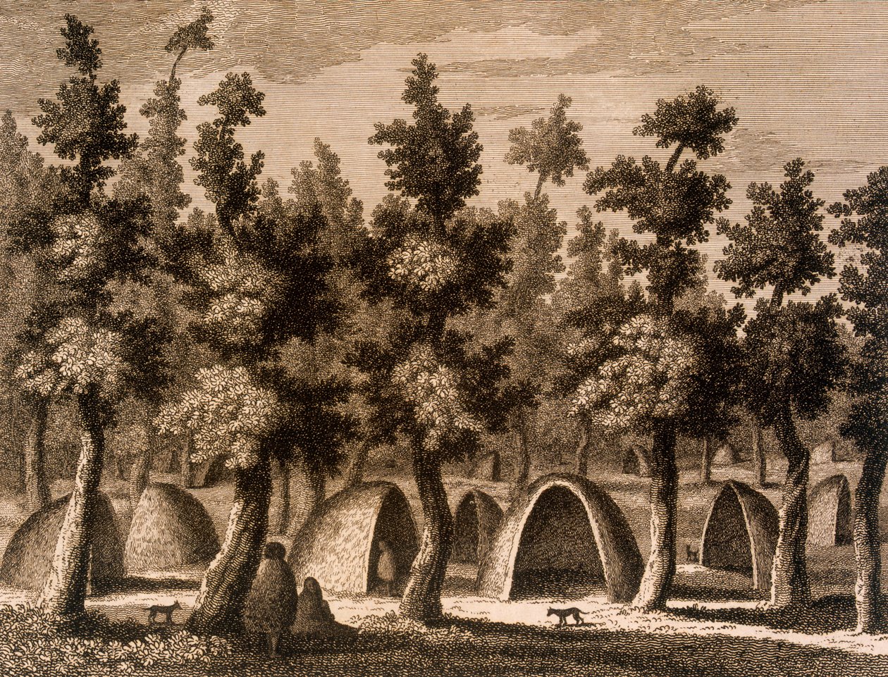 Udsigt over en landsby i bugten af god succes, Tierra del Fuego, 1777 af Alexander Buchan