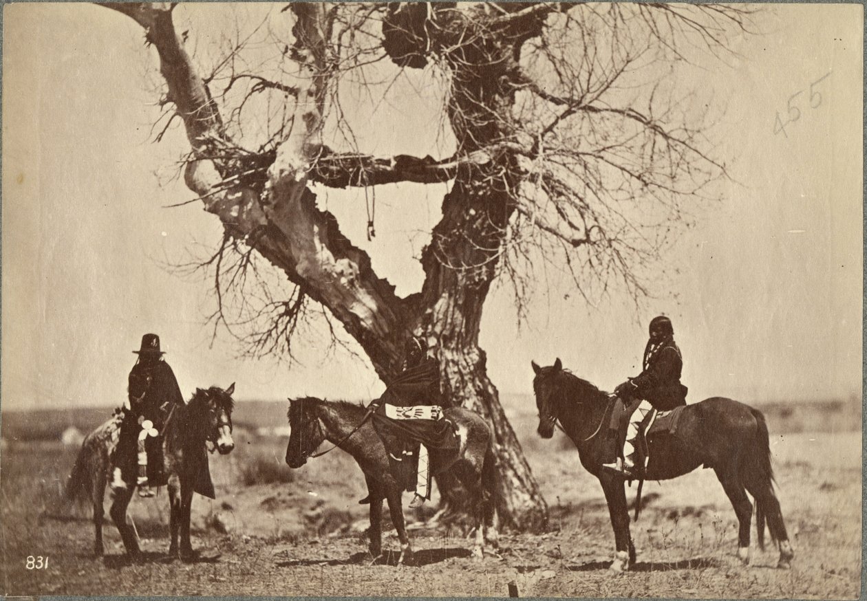 Begravelse, Dakota, 1868 (albumin print) af Alexander Gardner