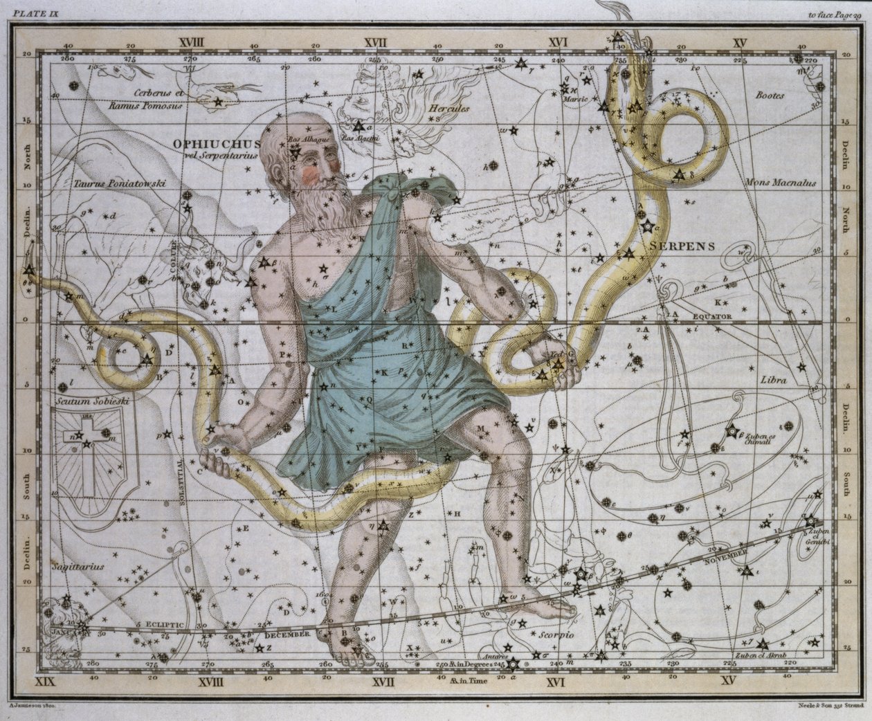 Ophiuchus eller Serpentarius, fra 