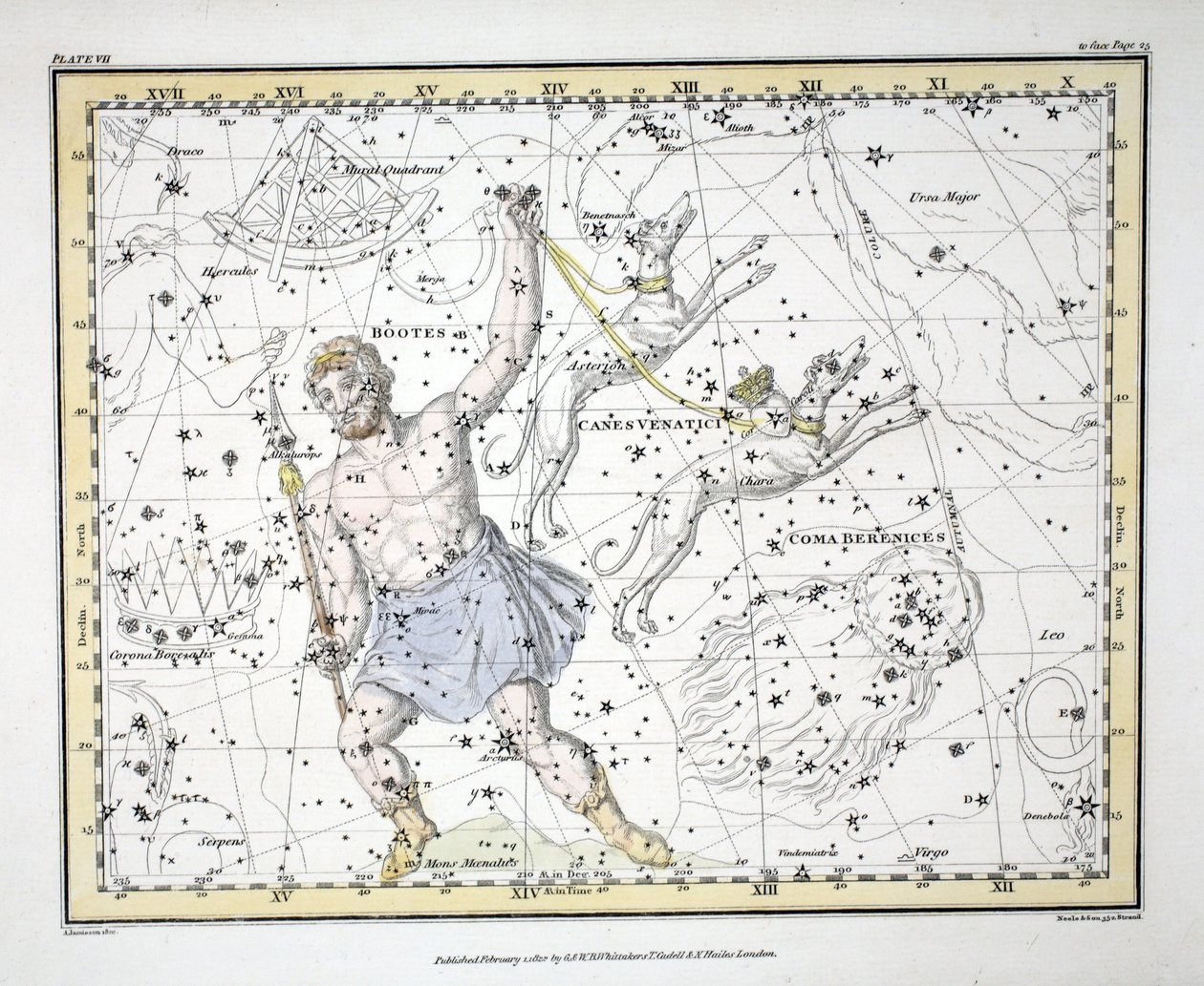 The Constellations (Plade VII) Bootes og Mons Maenalus, Asterion og Chara eller Canes Venatici, Coma Berenices, , fra 