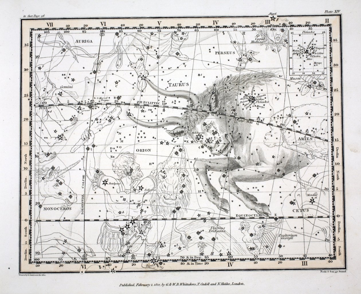 Stjernebillederne (Tavle XIV)Taurus, fra "A Celestial Atlas" af Alexander Jamieson, pub. London 1822 (håndkoloreret gravering) af Alexander Jamieson