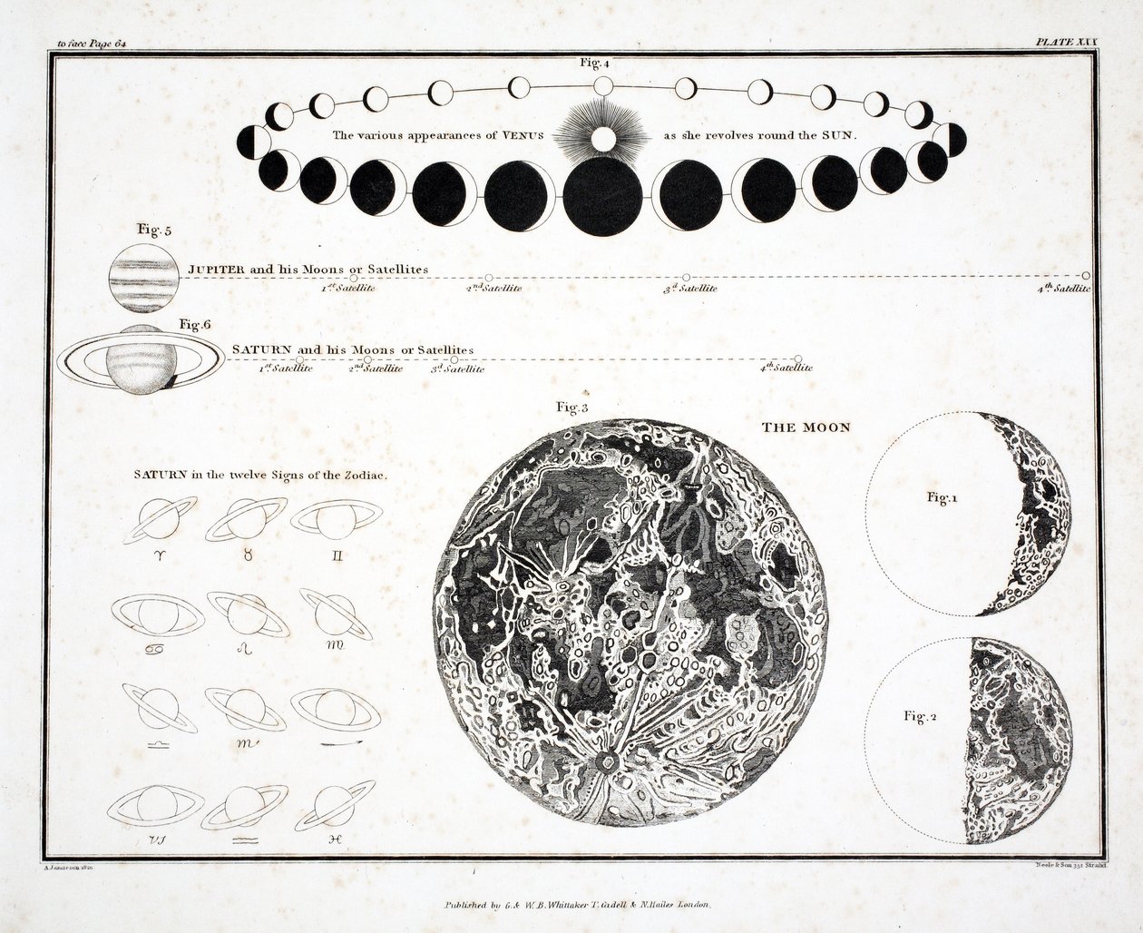 Månen, Venus og Saturn (Plade XXX), fra 