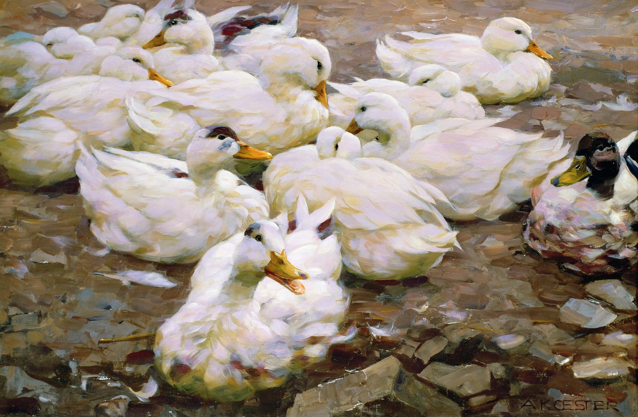 Ænder på en dam af Alexander Koester