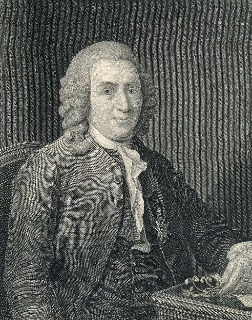 Carolus Linnaeuksen muotokuva af Alexander (after) Roslin