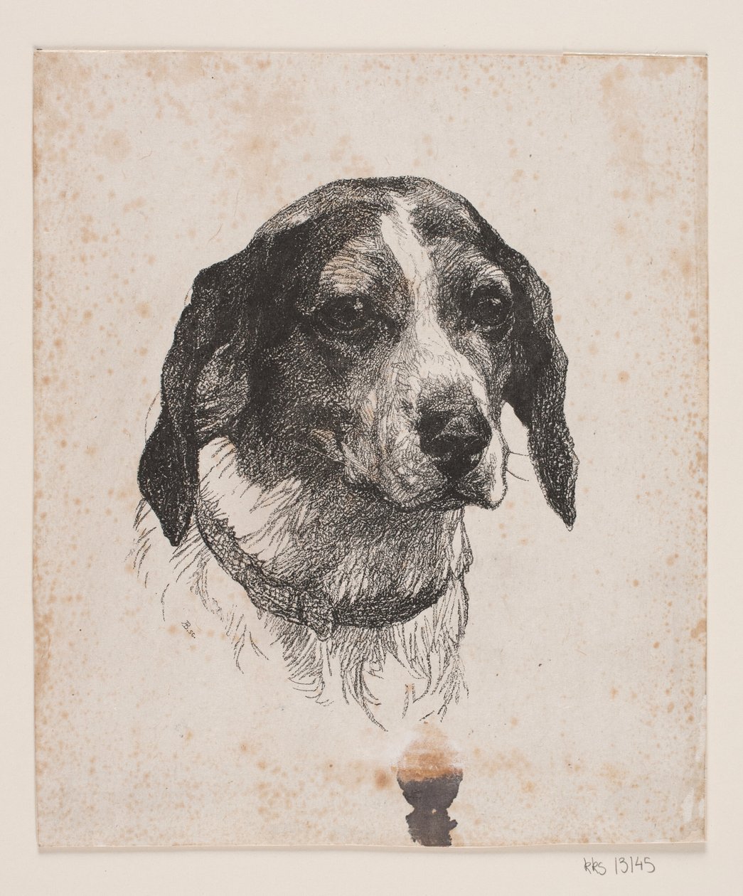 Et hundehoved af Alexander Blom