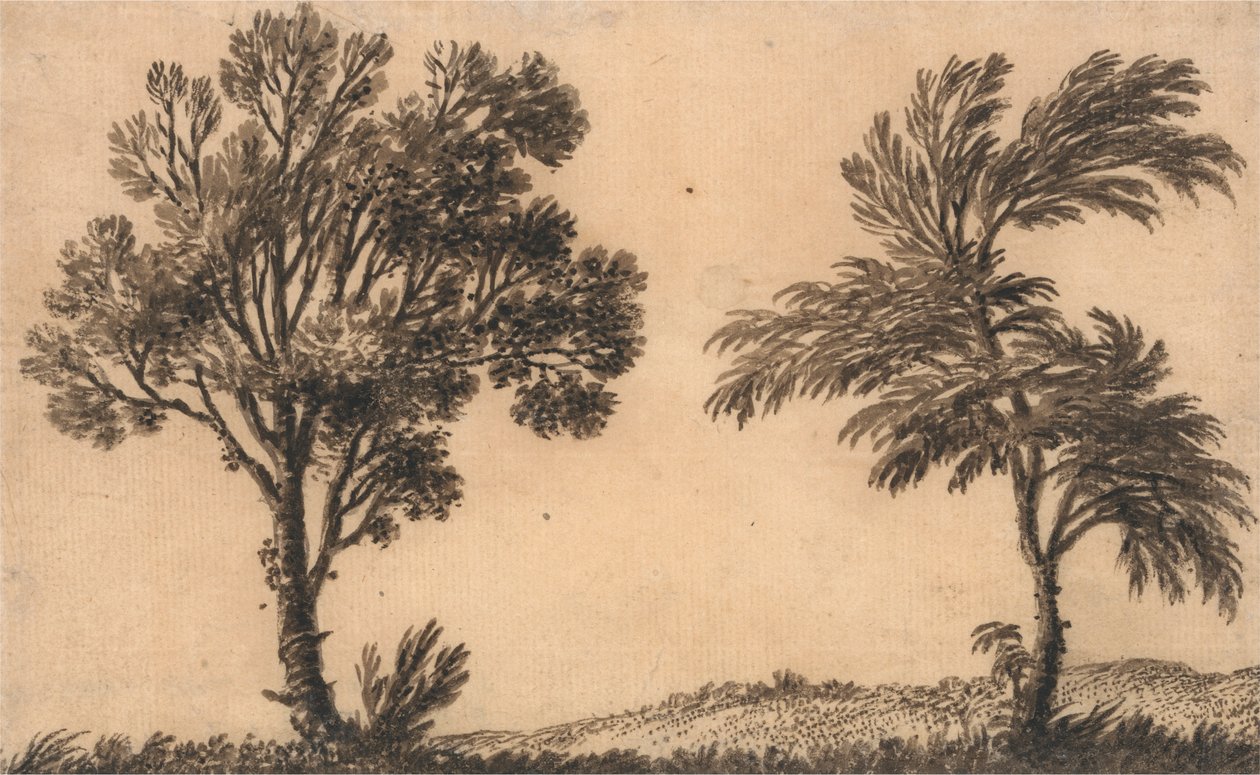 Studie af to piletræer af Alexander Cozens