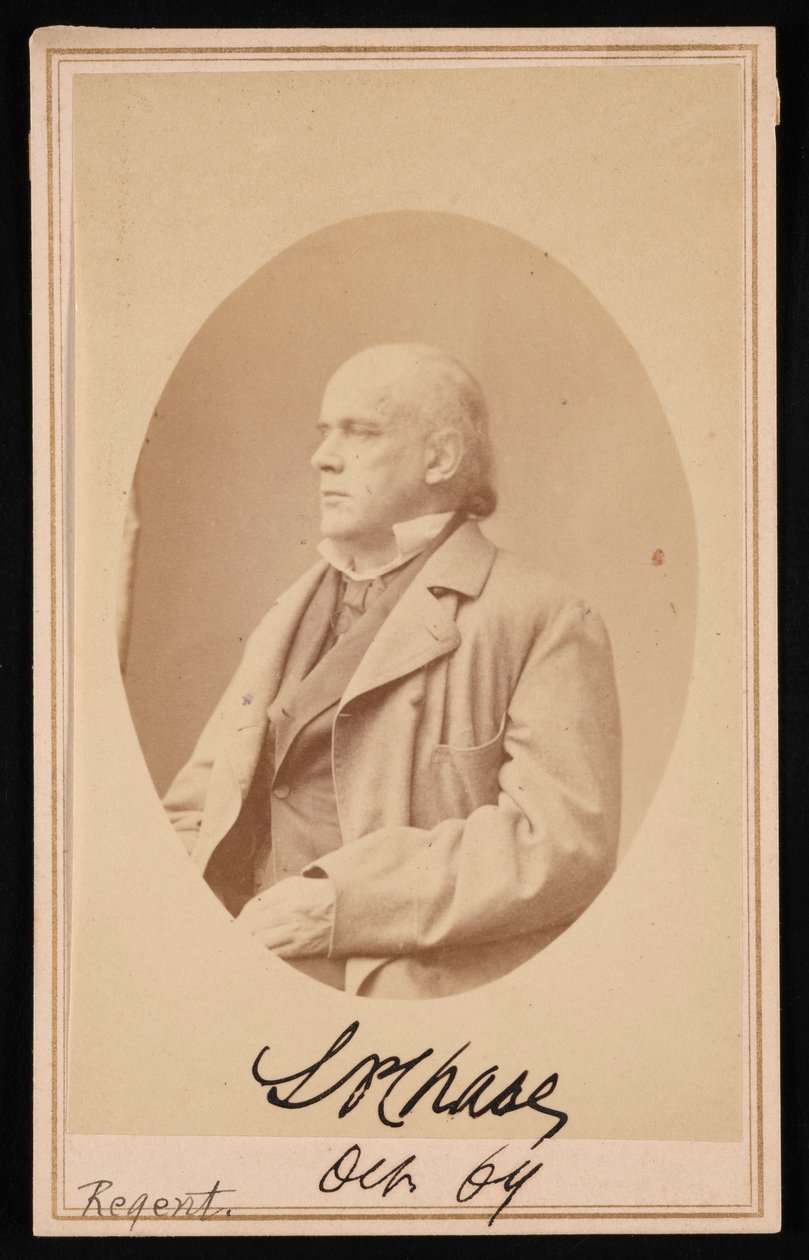 Portræt af Salmon Portland Chase 1808-1873, oktober 1864. af Alexander Gardner