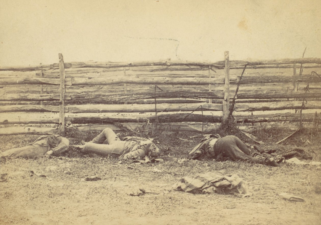 Udsigt i marken, på vestsiden af Hagerstown Road, efter slaget ved Antietam, ..., 1862. af Alexander Gardner