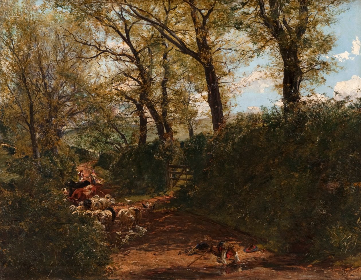Spring Sunshine: A Lane nær Melrose af Alexander Jnr. Fraser