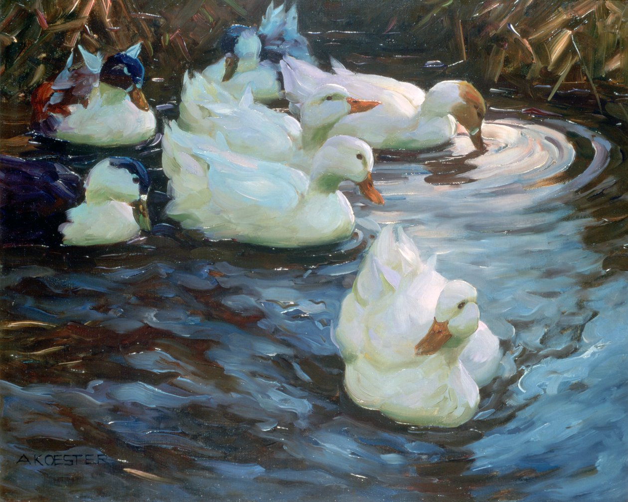 Ænder på en dam, c1884-1932 af Alexander Koester