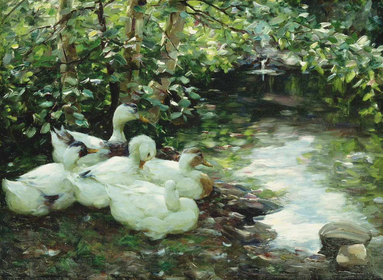 Fem ænder ved floden, stenet kyst; Funf Enten am Bach, Steiniges Ufer af Alexander Koester