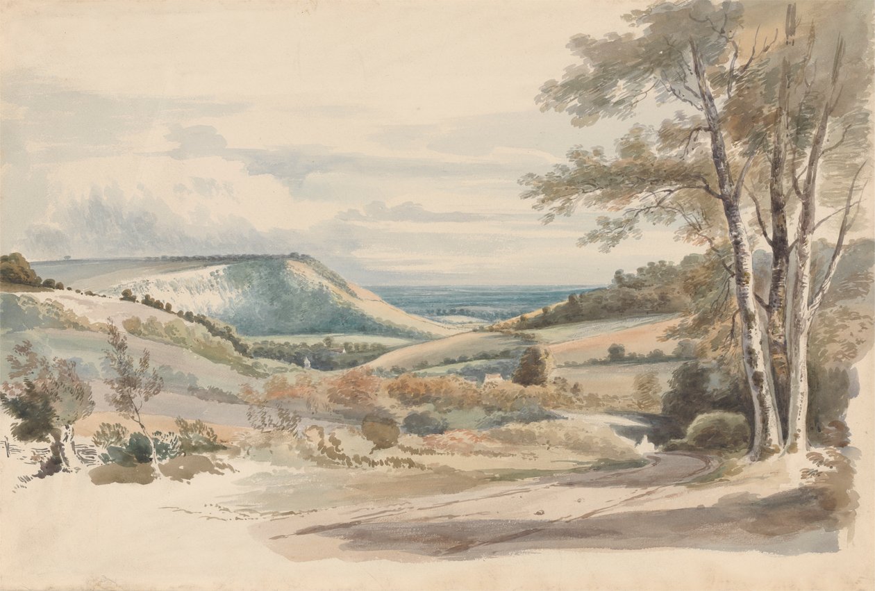 Boxhill fra West Humble Lane af Alexander Monro