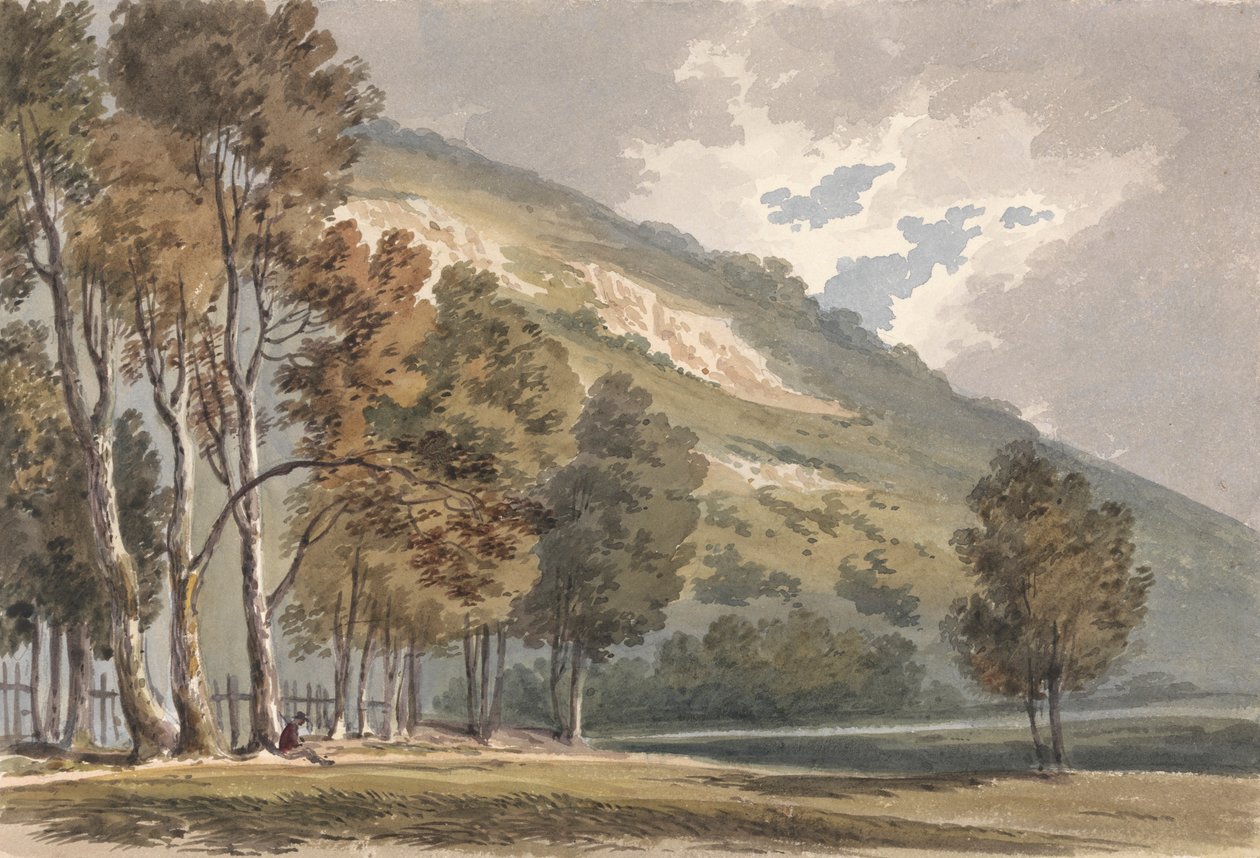 Landskab ved Boxhill, Surrey af Alexander Monro