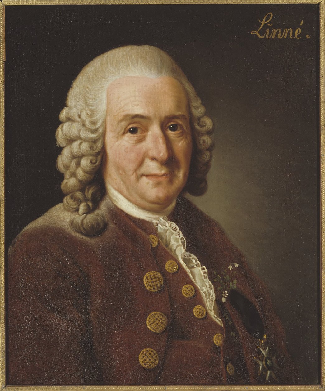 Carl von Linné (1707-1778), professor og botaniker, 1775 af Alexander Roslin
