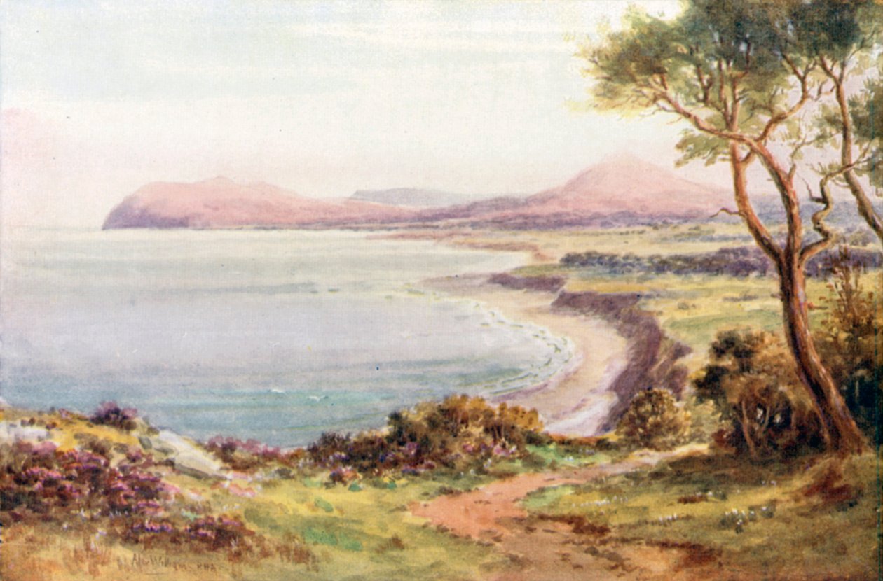  af Alexander Williams