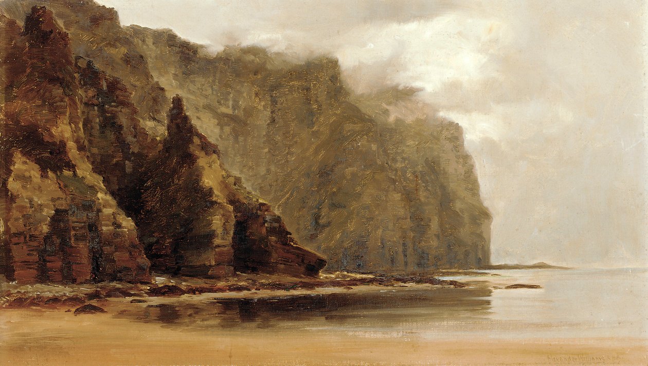 Minaun Cliffs, Achill Island, County Connacht, Irland (olie på lærred) af Alexander Williams