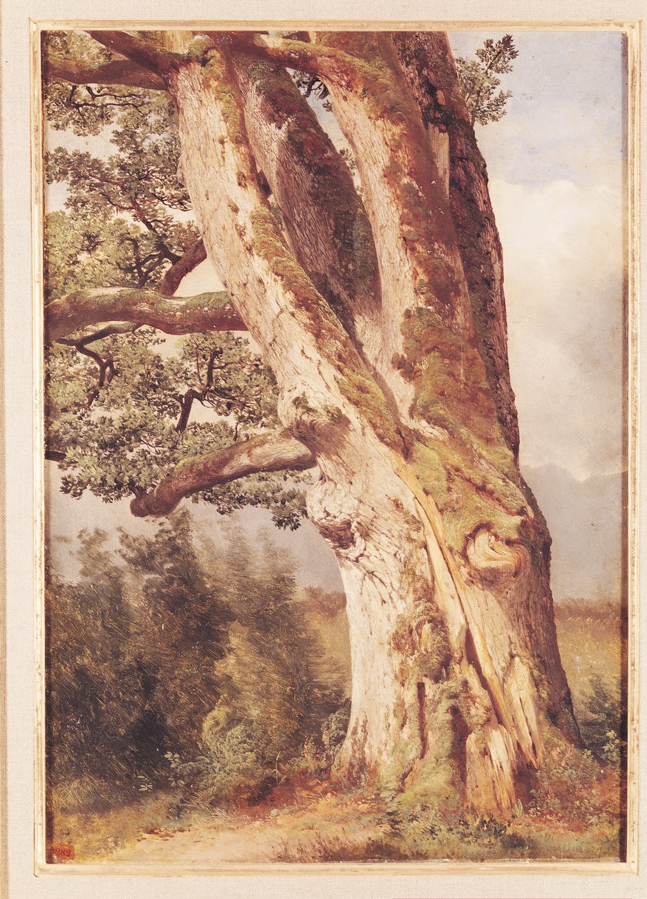Egen af Alexandre Calame