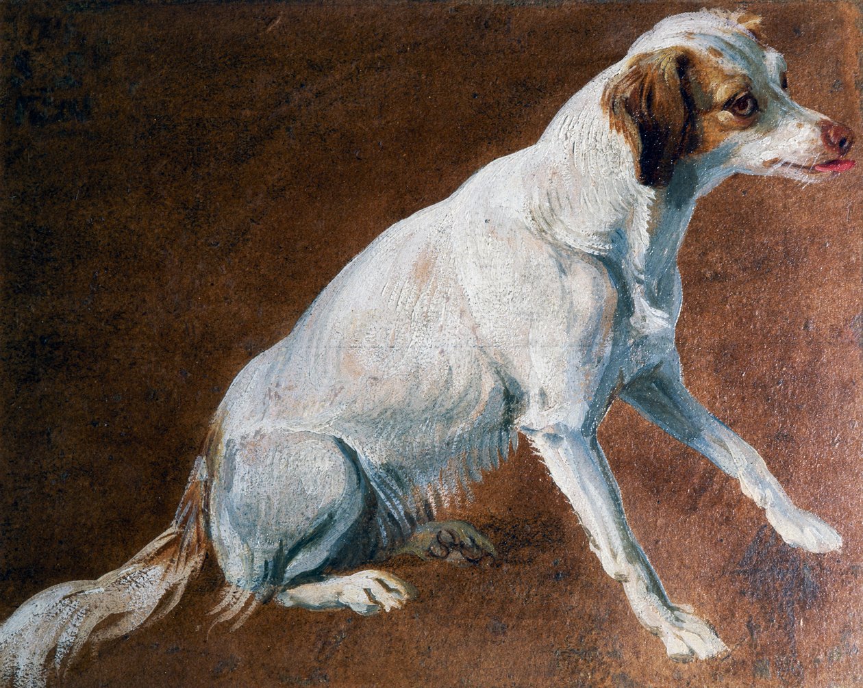 Fransk spaniel forfader, af Alexandre-Francois Desportes (1661-1743), Frankrig af Alexandre Francois Desportes
