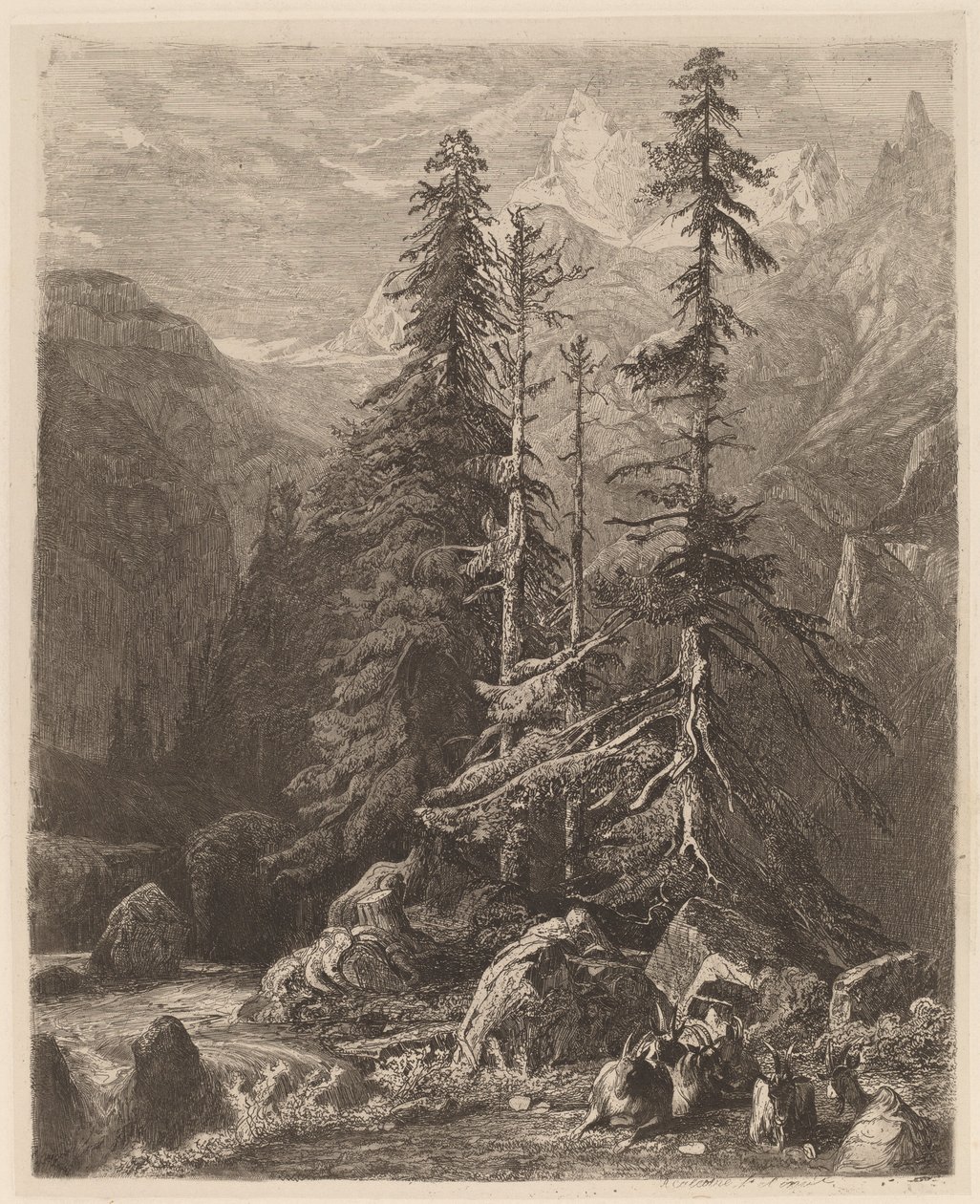 Ætsningsprøver af Alexandre Calame, I, pl. 21 af Alexandre Calame