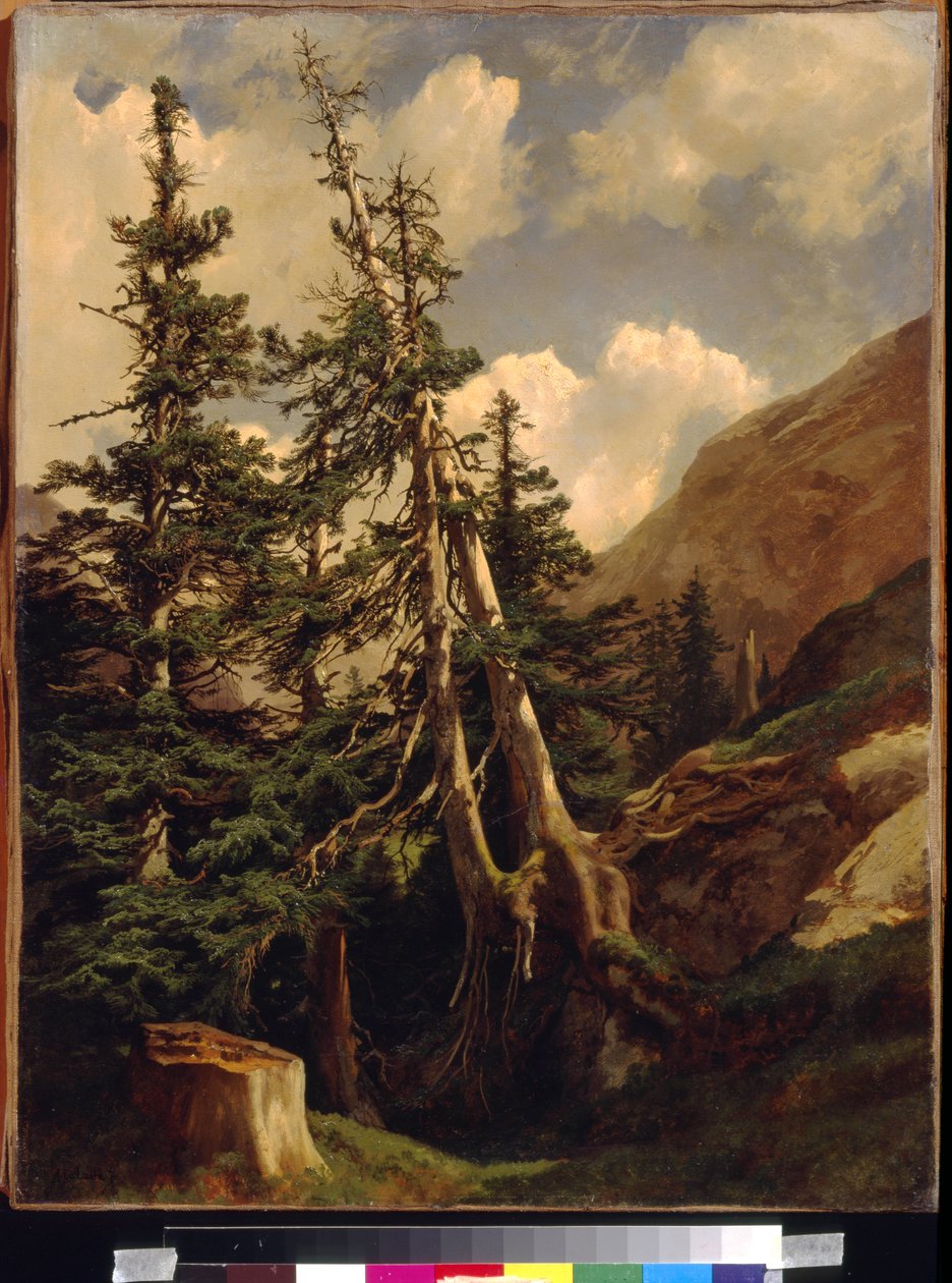 Graner i bjergene ved Calame, Alexandre (1810-1864). Olie på lærred, Mål: 68,5x53. State A. Pushkin Museum of Fine Arts, Moskva af Alexandre Calame