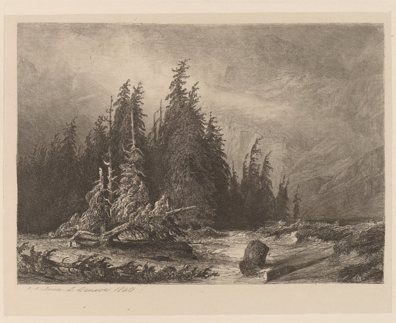 Mountain Pines af Alexandre Calame