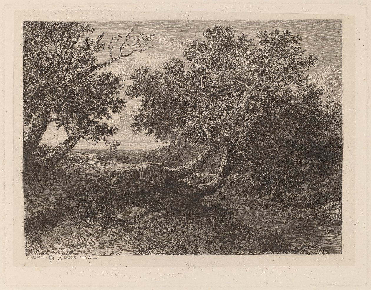 Stream med overhængende træer af Alexandre Calame