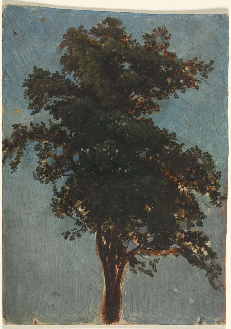 Træstudie, anden tredje 1800-tallet. af Alexandre Calame