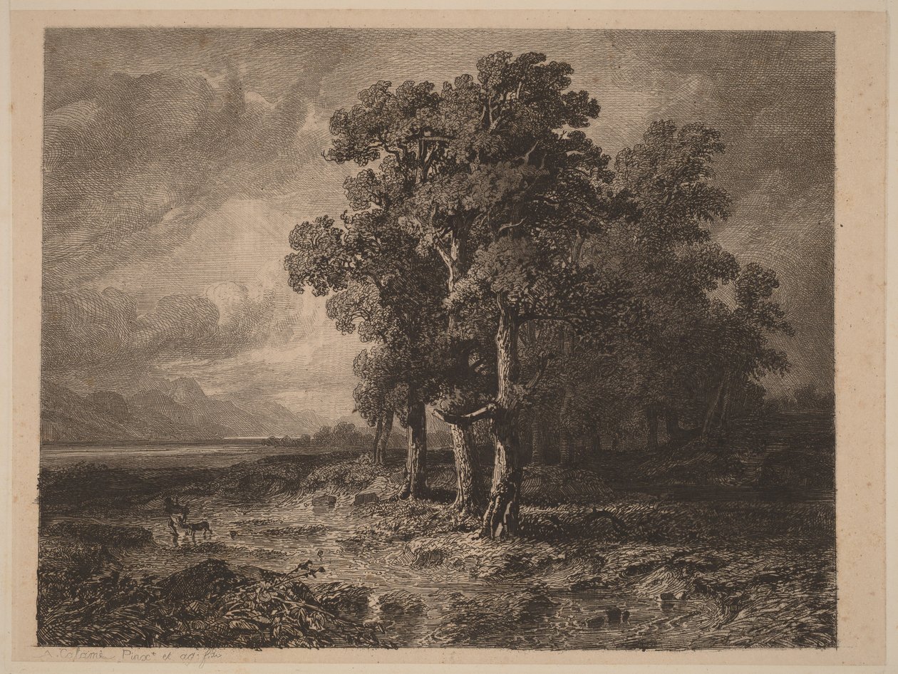 Træer i stormvejr af Alexandre Calame