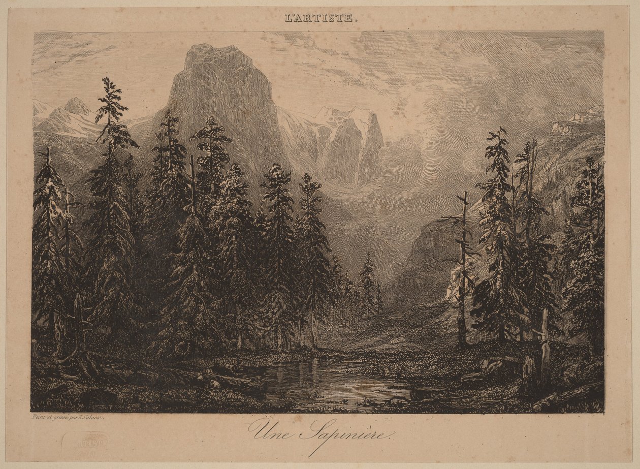 En fyrreskov af Alexandre Calame