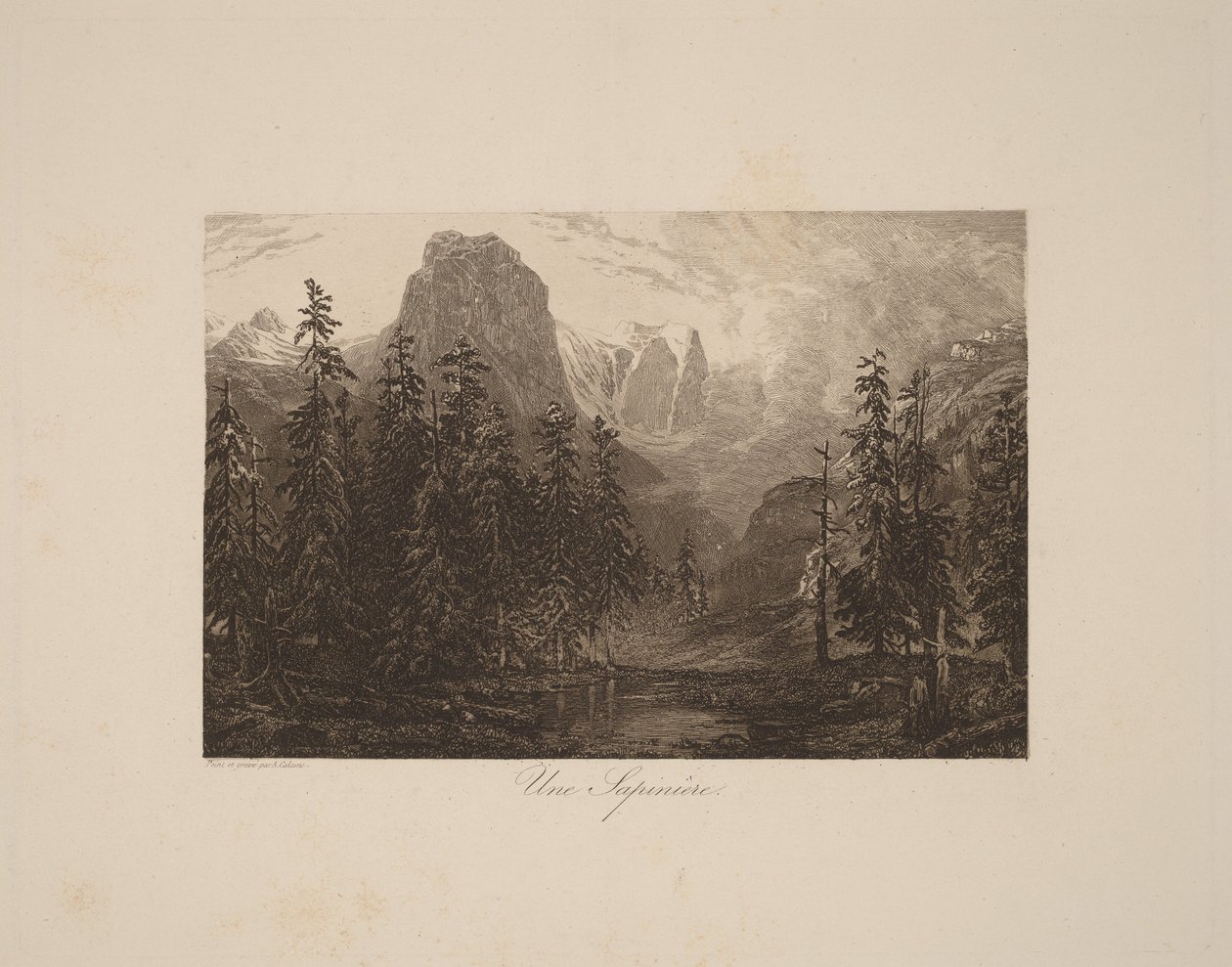 En fyrreskov af Alexandre Calame