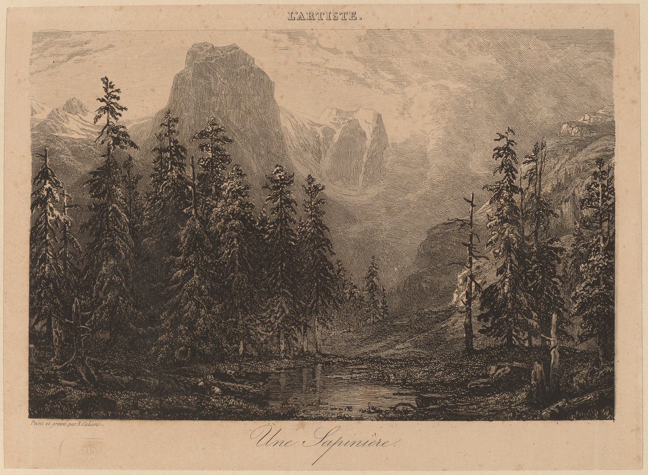Et grantræ af Alexandre Calame