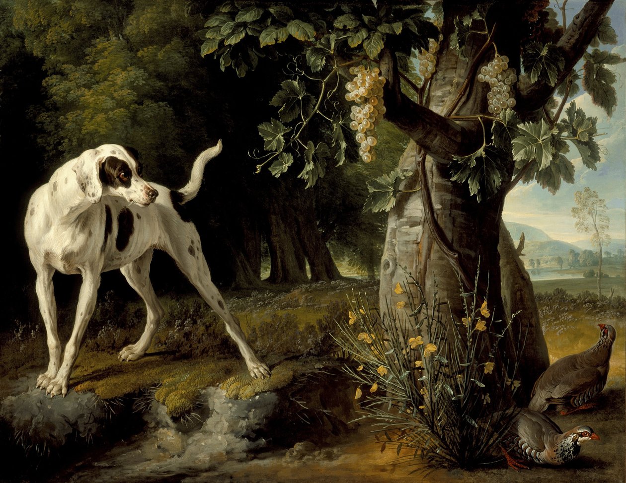 Landskab med en hund og agerhøns, 1719 af Alexandre Francois Desportes