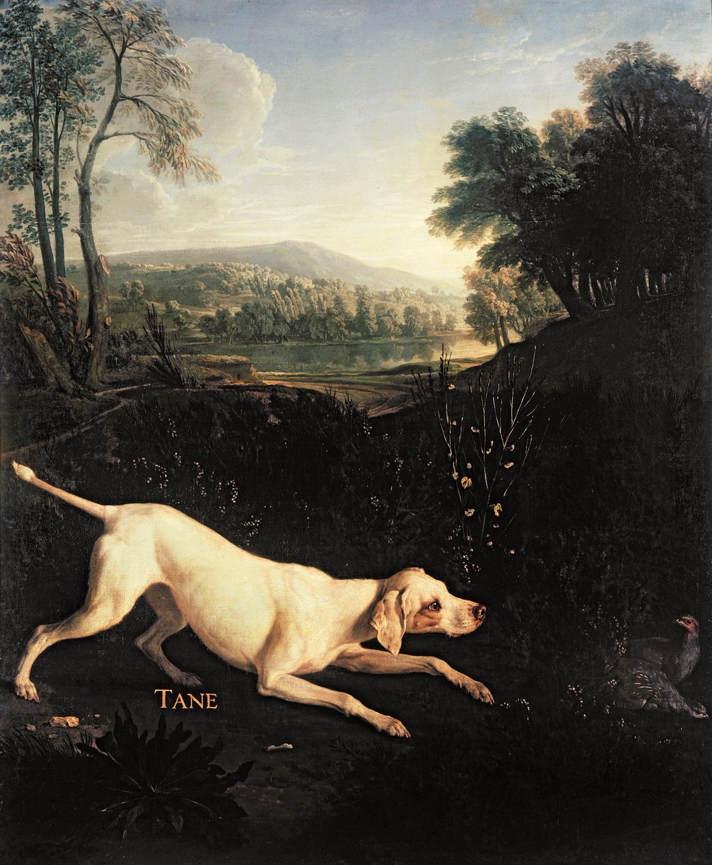 Ludvig XIVs hund, Tane af Alexandre Francois Desportes