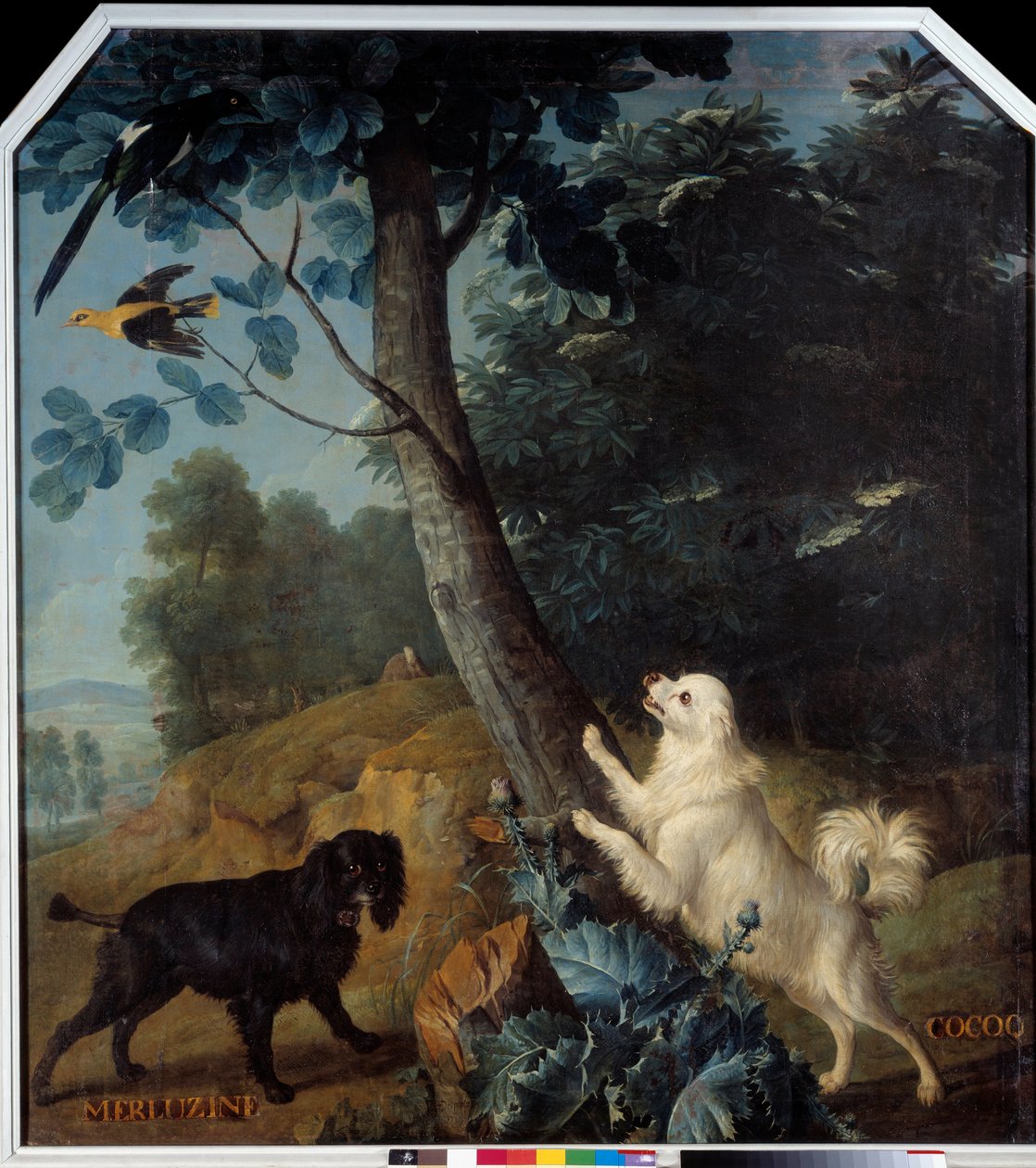 Merluzine og Cocoq, hundene af Ludvig XIV (1638-1715). Maleri af Francois Desportes (1661-1743) af Alexandre Francois Desportes