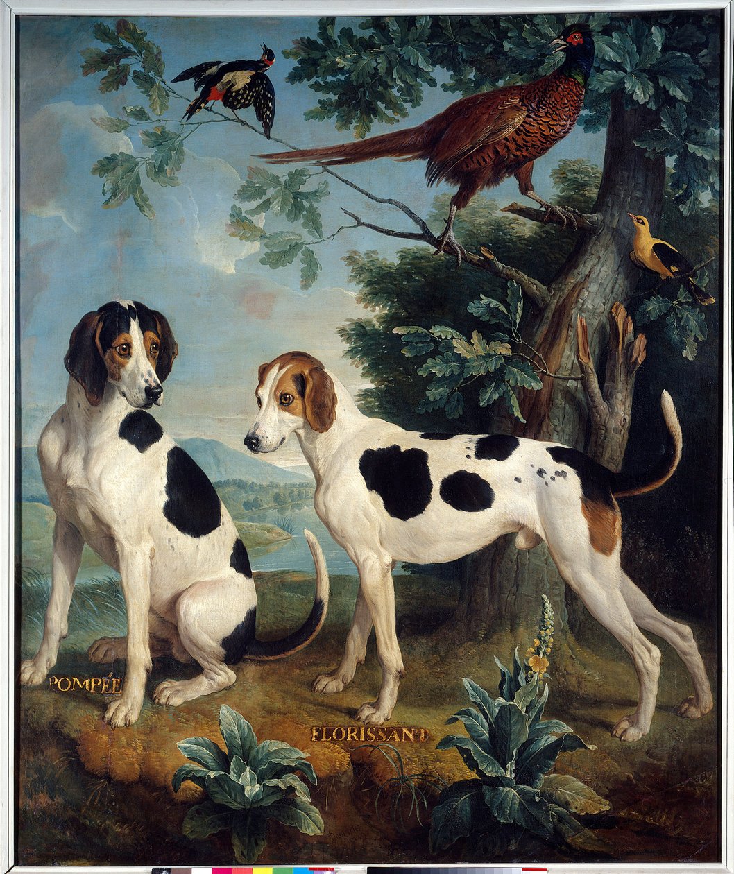 Pompee og Florissant, Ludvig XIVs hunde (1638-1715). Maleri af Francois Desportes (1661-1743) af Alexandre Francois Desportes